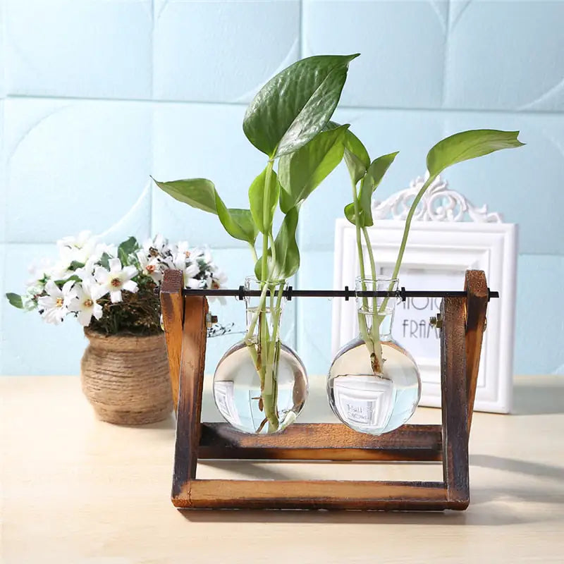 Glass and Wood Planter Vase