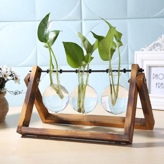 Glass and Wood Planter Vase